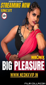 Big Pleasure (2025)